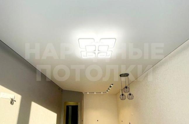 картинки натяжных потолков со светильниками для зала